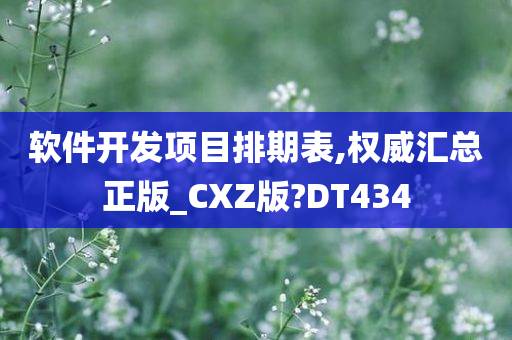 软件开发项目排期表,权威汇总正版_CXZ版?DT434