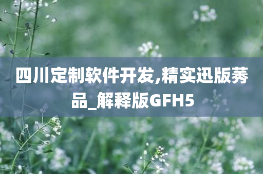 四川定制软件开发,精实迅版莠品_解释版GFH5