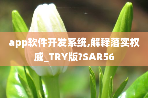 app软件开发系统,解释落实权威_TRY版?SAR56