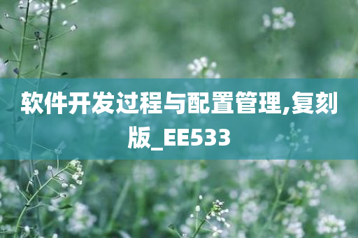 软件开发过程与配置管理,复刻版_EE533