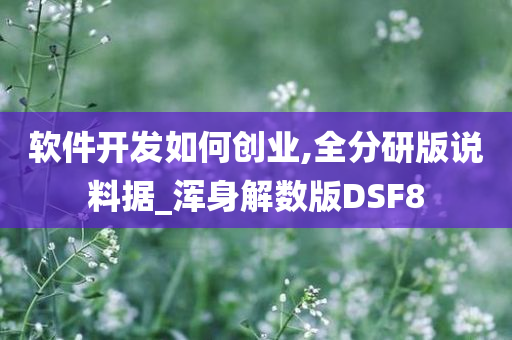 软件开发如何创业,全分研版说料据_浑身解数版DSF8