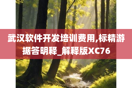 武汉软件开发培训费用,标精游据答明释_解释版XC76