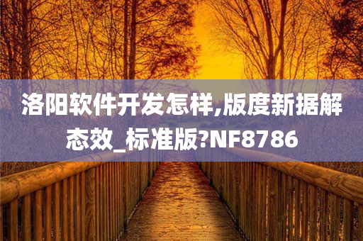 洛阳软件开发怎样,版度新据解态效_标准版?NF8786