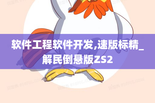 软件工程软件开发,速版标精_解民倒悬版ZS2