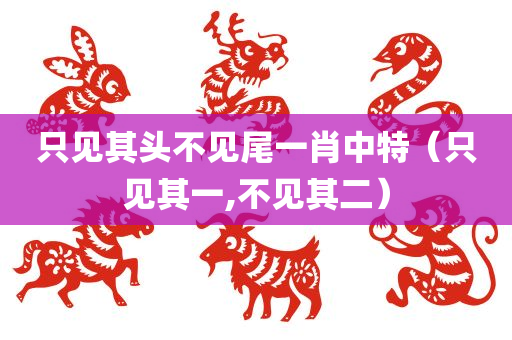 只见其头不见尾一肖中特（只见其一,不见其二）