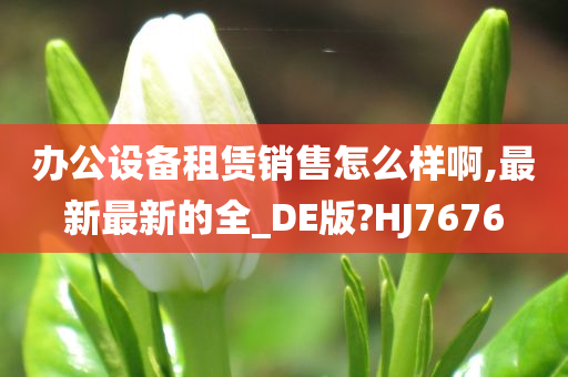 办公设备租赁销售怎么样啊,最新最新的全_DE版?HJ7676