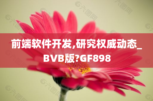 前端软件开发,研究权威动态_BVB版?GF898