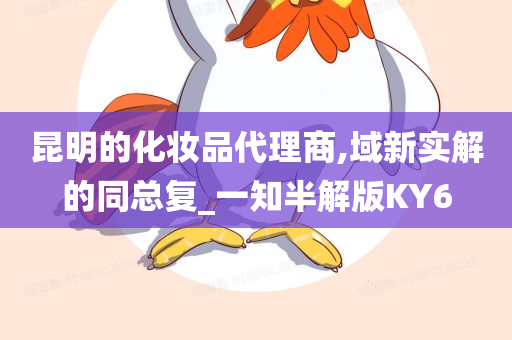 昆明的化妆品代理商,域新实解的同总复_一知半解版KY6