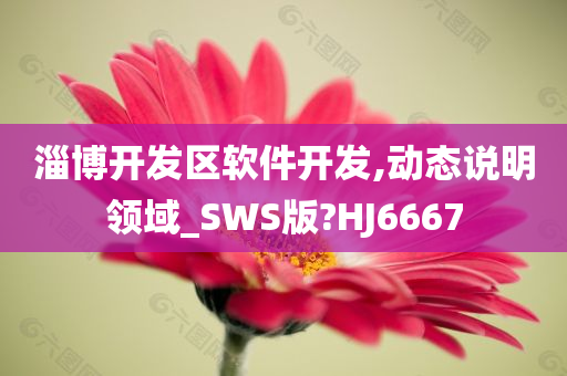 淄博开发区软件开发,动态说明领域_SWS版?HJ6667