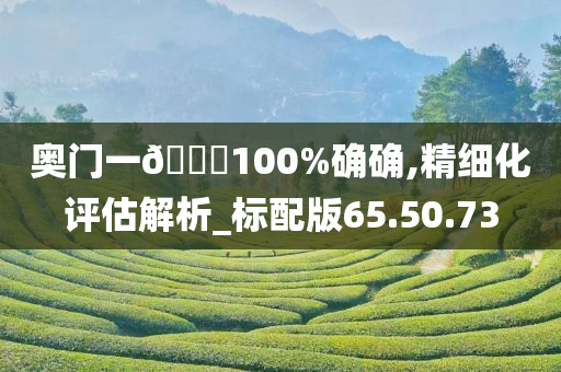 奥门一🐎100%确确,精细化评估解析_标配版65.50.73