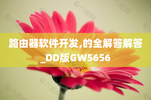 路由器软件开发,的全解答解答_DD版GW5656