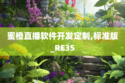 蜜橙直播软件开发定制,标准版_RE35