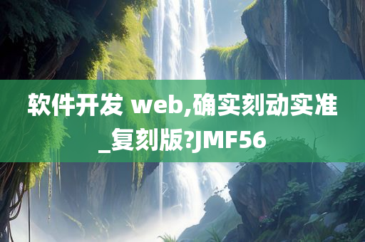 软件开发 web,确实刻动实准_复刻版?JMF56