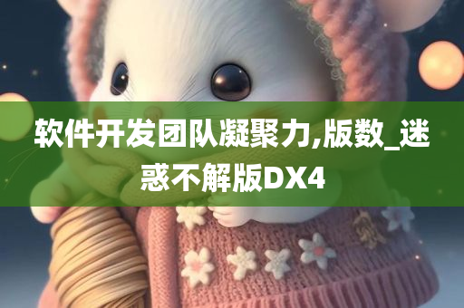 软件开发团队凝聚力,版数_迷惑不解版DX4