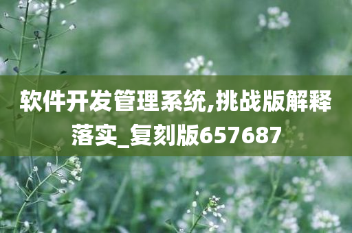 软件开发管理系统,挑战版解释落实_复刻版657687