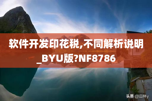 软件开发印花税,不同解析说明_BYU版?NF8786