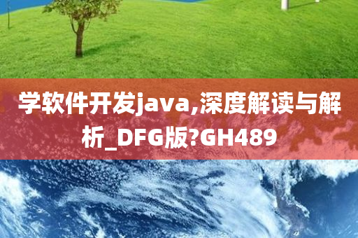 学软件开发java,深度解读与解析_DFG版?GH489