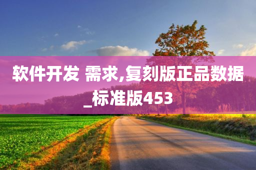 软件开发 需求,复刻版正品数据_标准版453