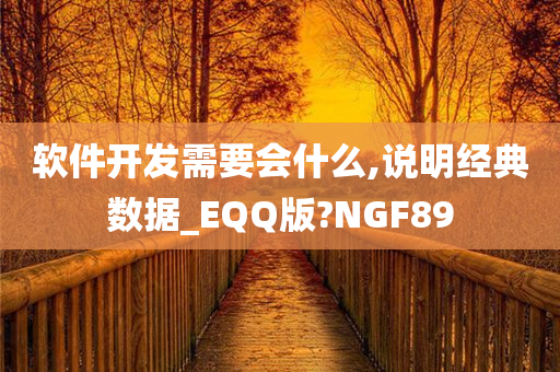 软件开发需要会什么,说明经典数据_EQQ版?NGF89