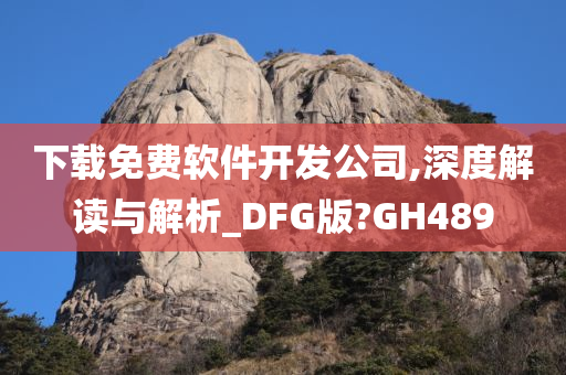 下载免费软件开发公司,深度解读与解析_DFG版?GH489