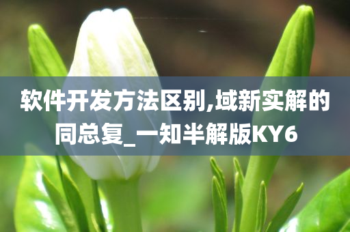 软件开发方法区别,域新实解的同总复_一知半解版KY6