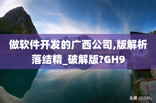 做软件开发的广西公司,版解析落结精_破解版?GH9