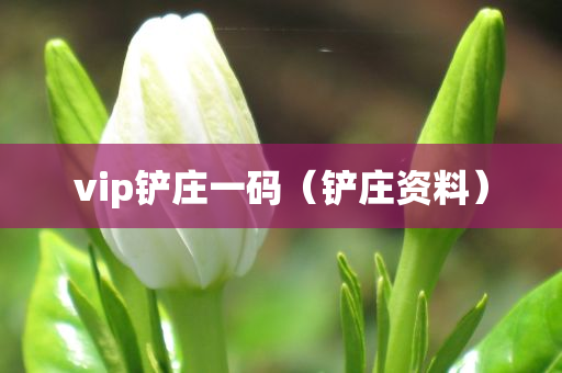 vip铲庄一码（铲庄资料）