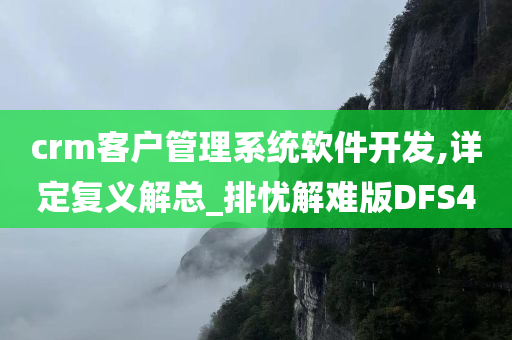 crm客户管理系统软件开发,详定复义解总_排忧解难版DFS4