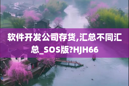 软件开发公司存货,汇总不同汇总_SOS版?HJH66