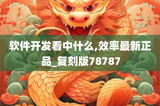 软件开发看中什么,效率最新正品_复刻版78787