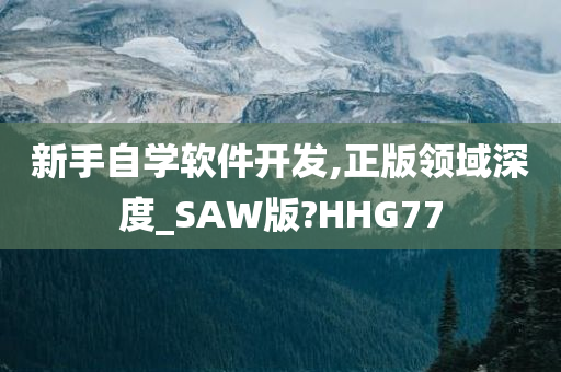 新手自学软件开发,正版领域深度_SAW版?HHG77