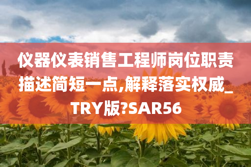 仪器仪表销售工程师岗位职责描述简短一点,解释落实权威_TRY版?SAR56