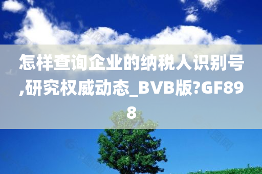 怎样查询企业的纳税人识别号,研究权威动态_BVB版?GF898