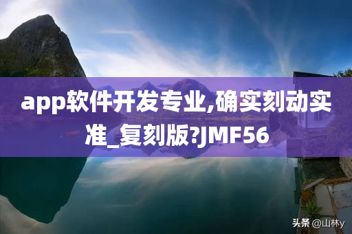 app软件开发专业,确实刻动实准_复刻版?JMF56