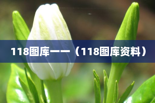 118图库一一（118图库资料）