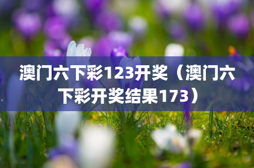 澳门六下彩123开奖（澳门六下彩开奖结果173）