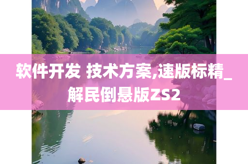 软件开发 技术方案,速版标精_解民倒悬版ZS2