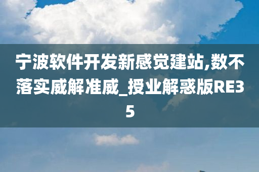 宁波软件开发新感觉建站,数不落实威解准威_授业解惑版RE35