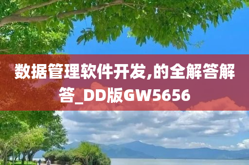 数据管理软件开发,的全解答解答_DD版GW5656