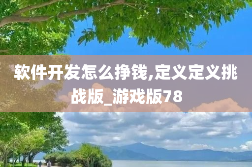 软件开发怎么挣钱,定义定义挑战版_游戏版78