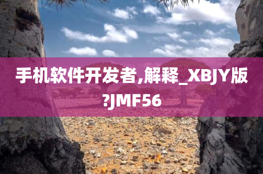 手机软件开发者,解释_XBJY版?JMF56