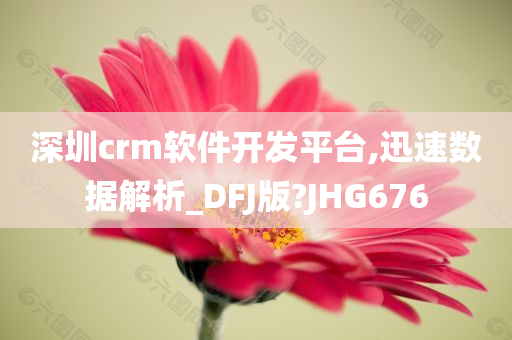 深圳crm软件开发平台,迅速数据解析_DFJ版?JHG676