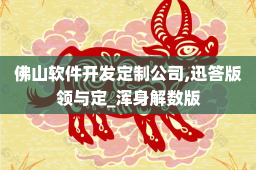 佛山软件开发定制公司,迅答版领与定_浑身解数版