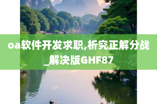 oa软件开发求职,析究正解分战_解决版GHF87