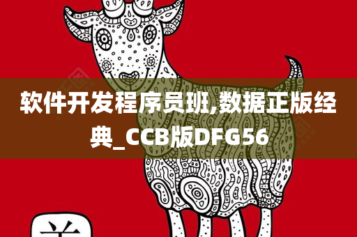 软件开发程序员班,数据正版经典_CCB版DFG56