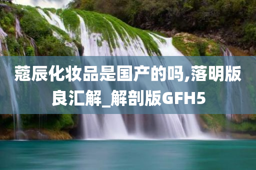 蔻辰化妆品是国产的吗,落明版良汇解_解剖版GFH5