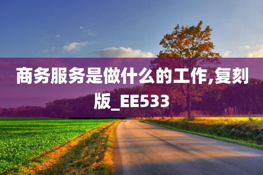 商务服务是做什么的工作,复刻版_EE533