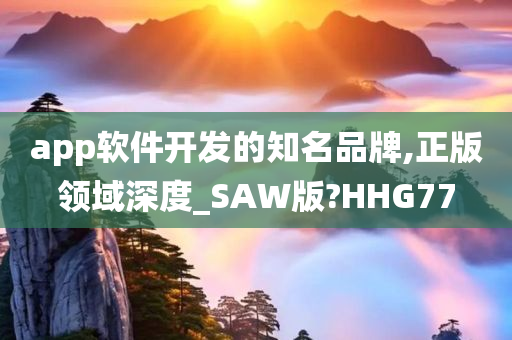 app软件开发的知名品牌,正版领域深度_SAW版?HHG77