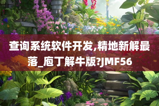 查询系统软件开发,精地新解最落_庖丁解牛版?JMF56