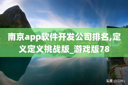 南京app软件开发公司排名,定义定义挑战版_游戏版78